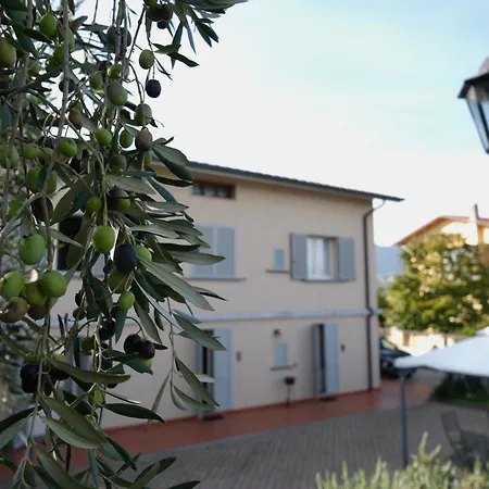 Orsobigio Quarrata