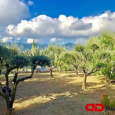 B&B Orsobigio 콰라타