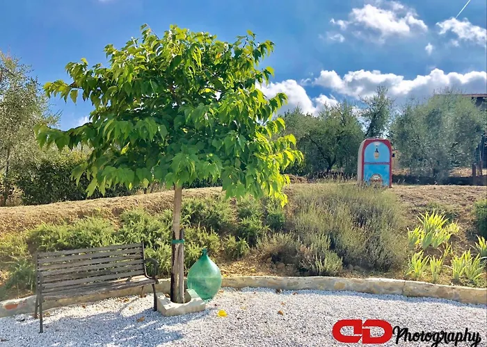 Bed and breakfast Orsobigio 3*